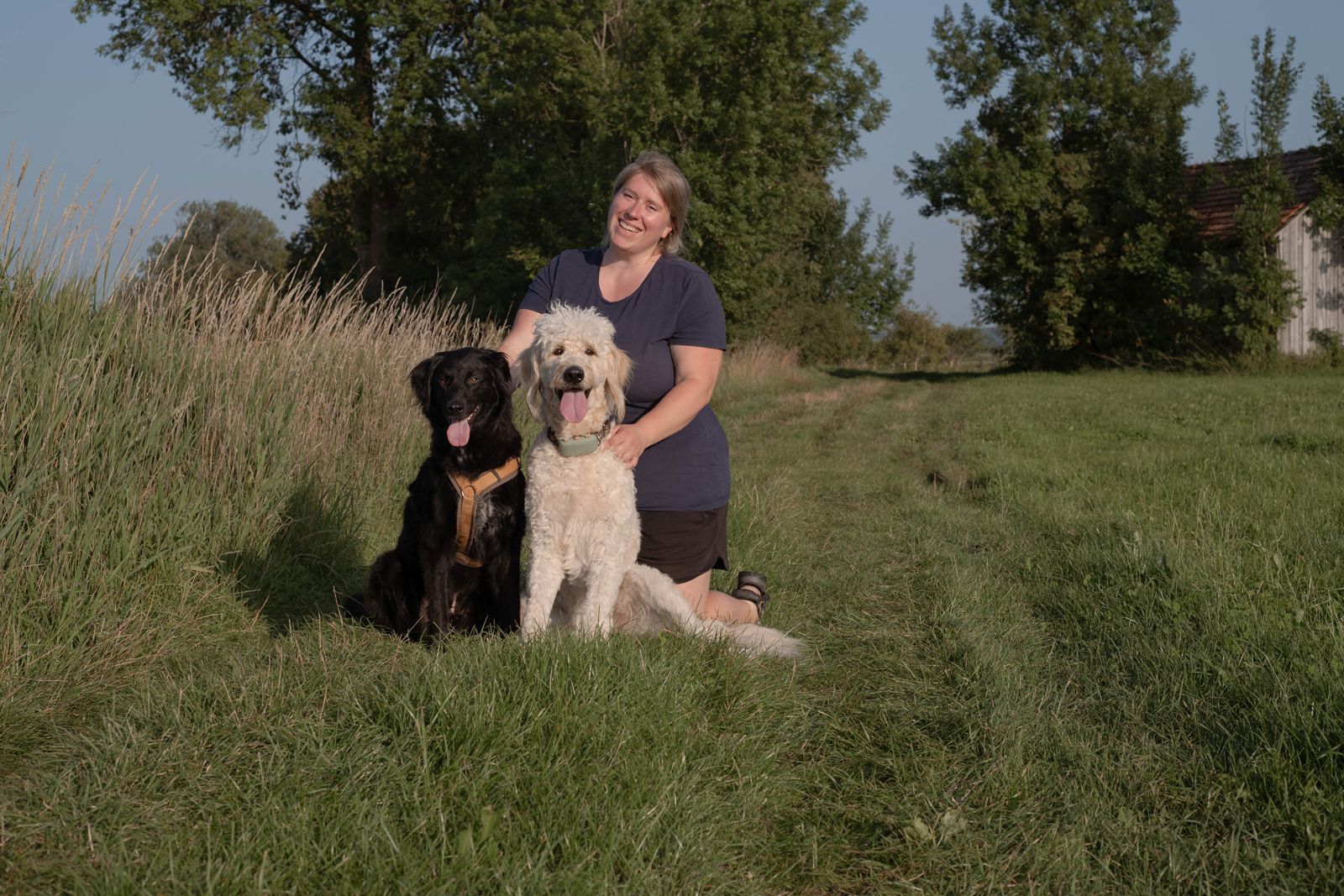 Woman sitting in grass with two dogs