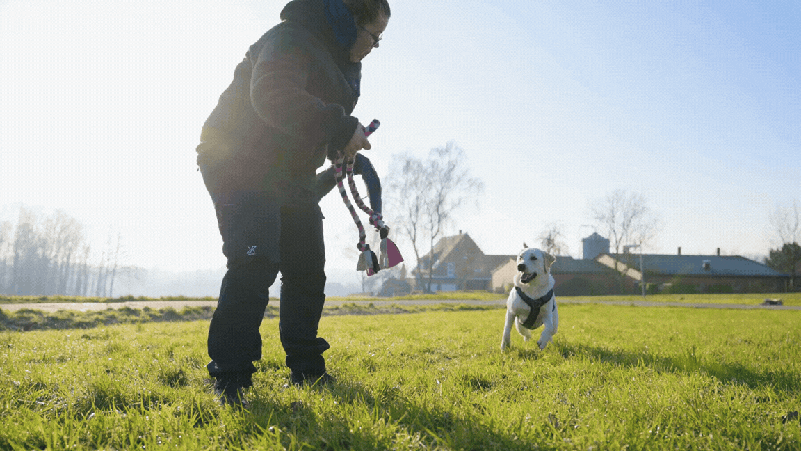 Dog running toward a person in a grassy field